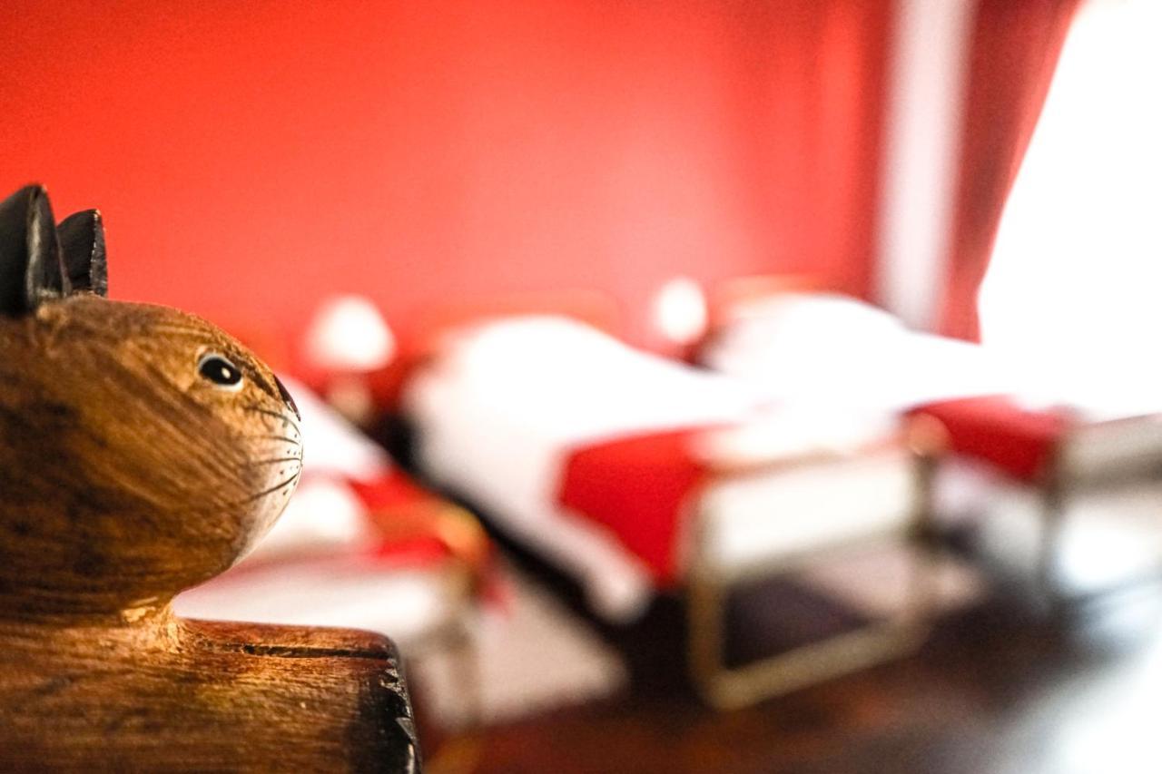 Azores Dream Hostel Ponta Delgada Rom bilde